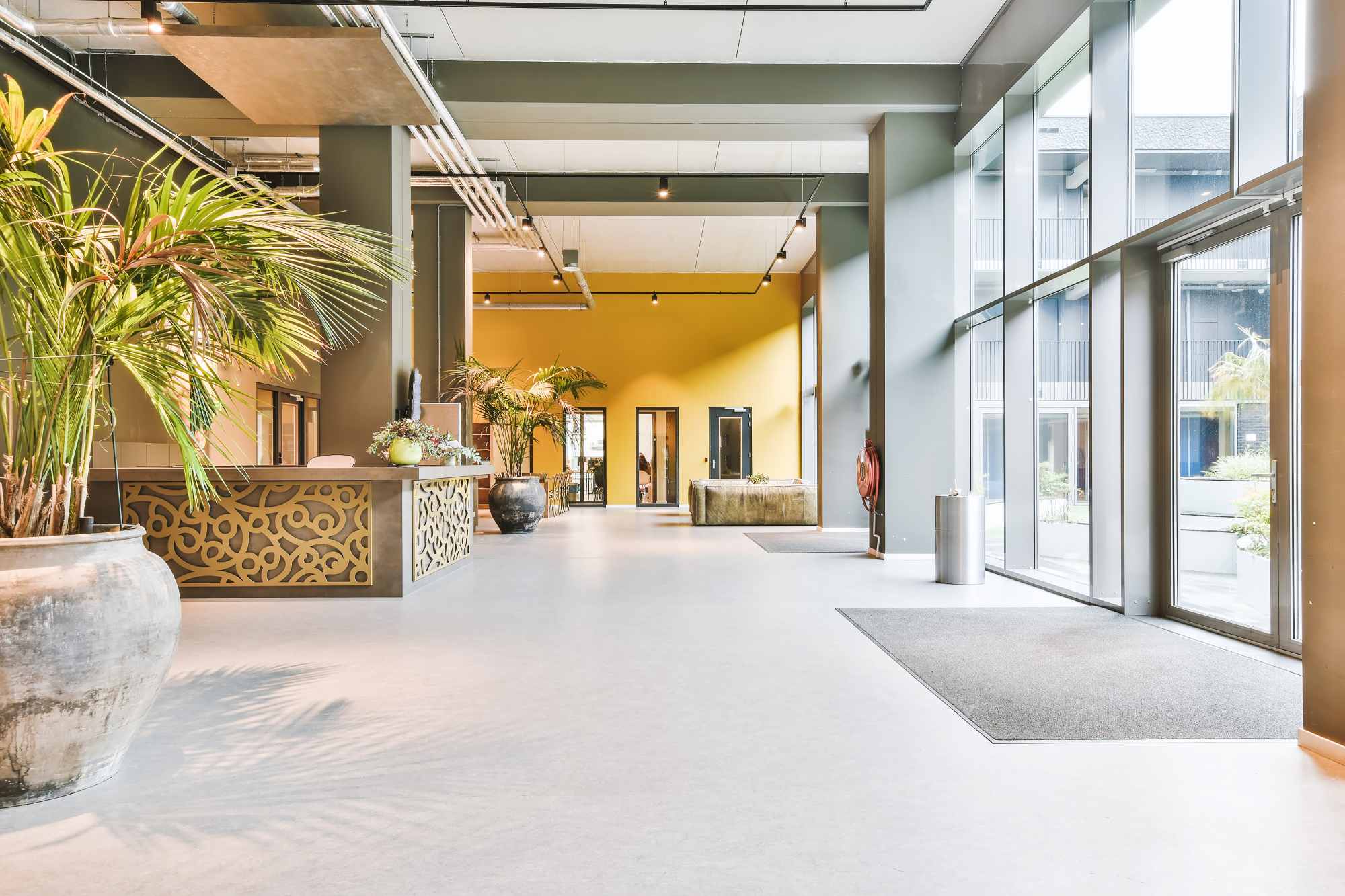 Commercial Renovation